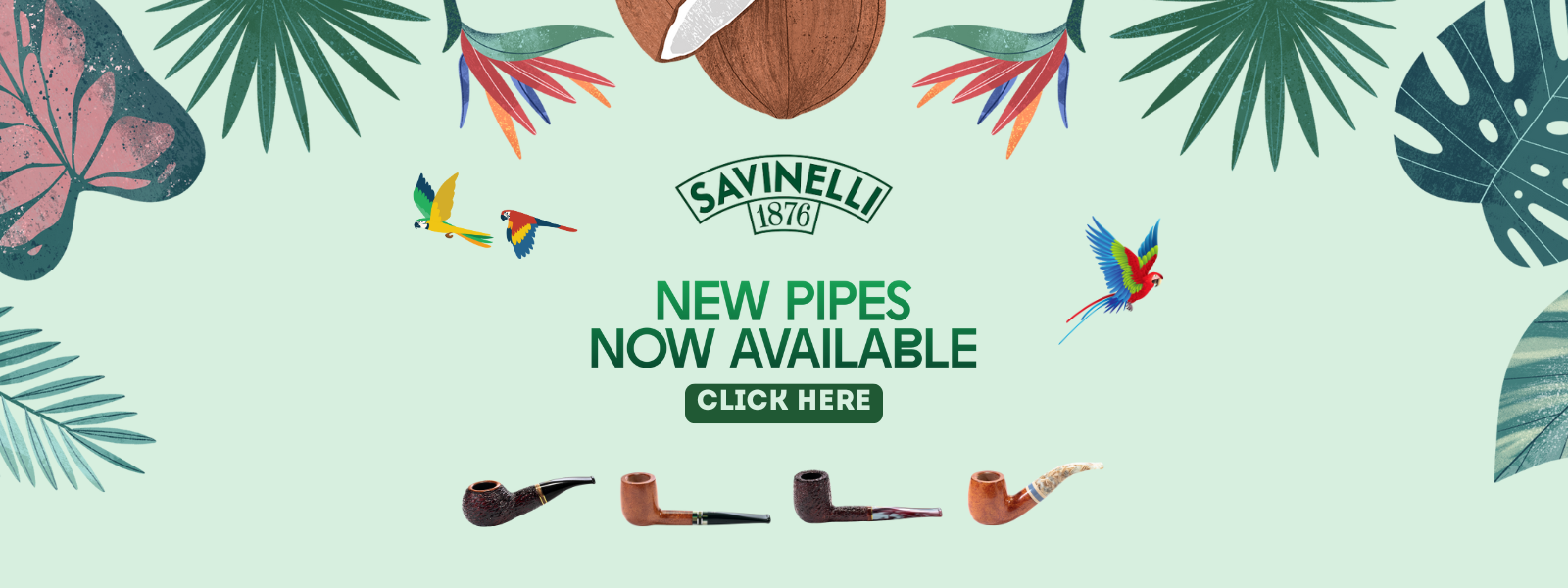 New Savinelli
